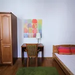 Dietla Apartments Ajax The Great Telamon